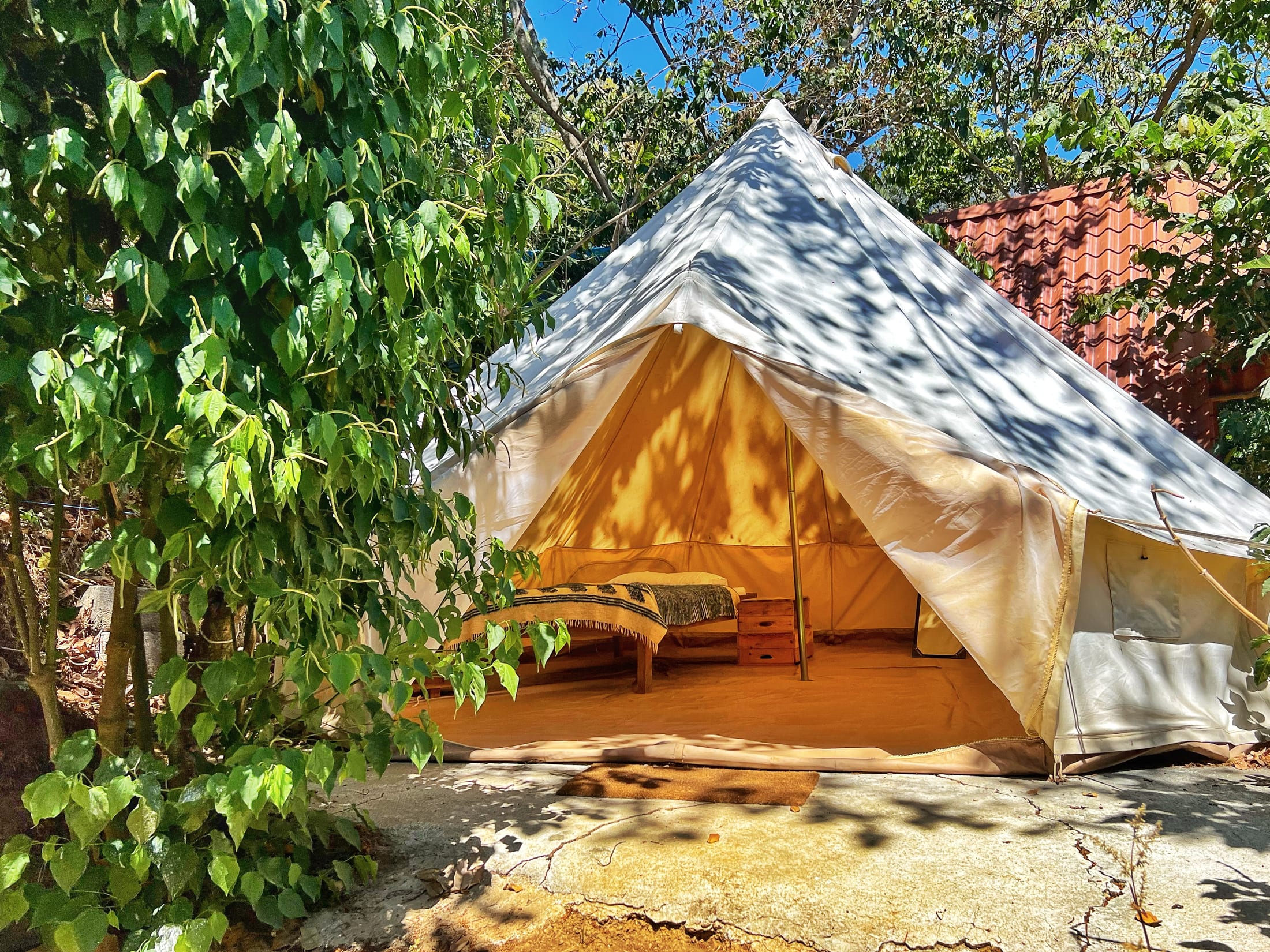 Glamping Tent