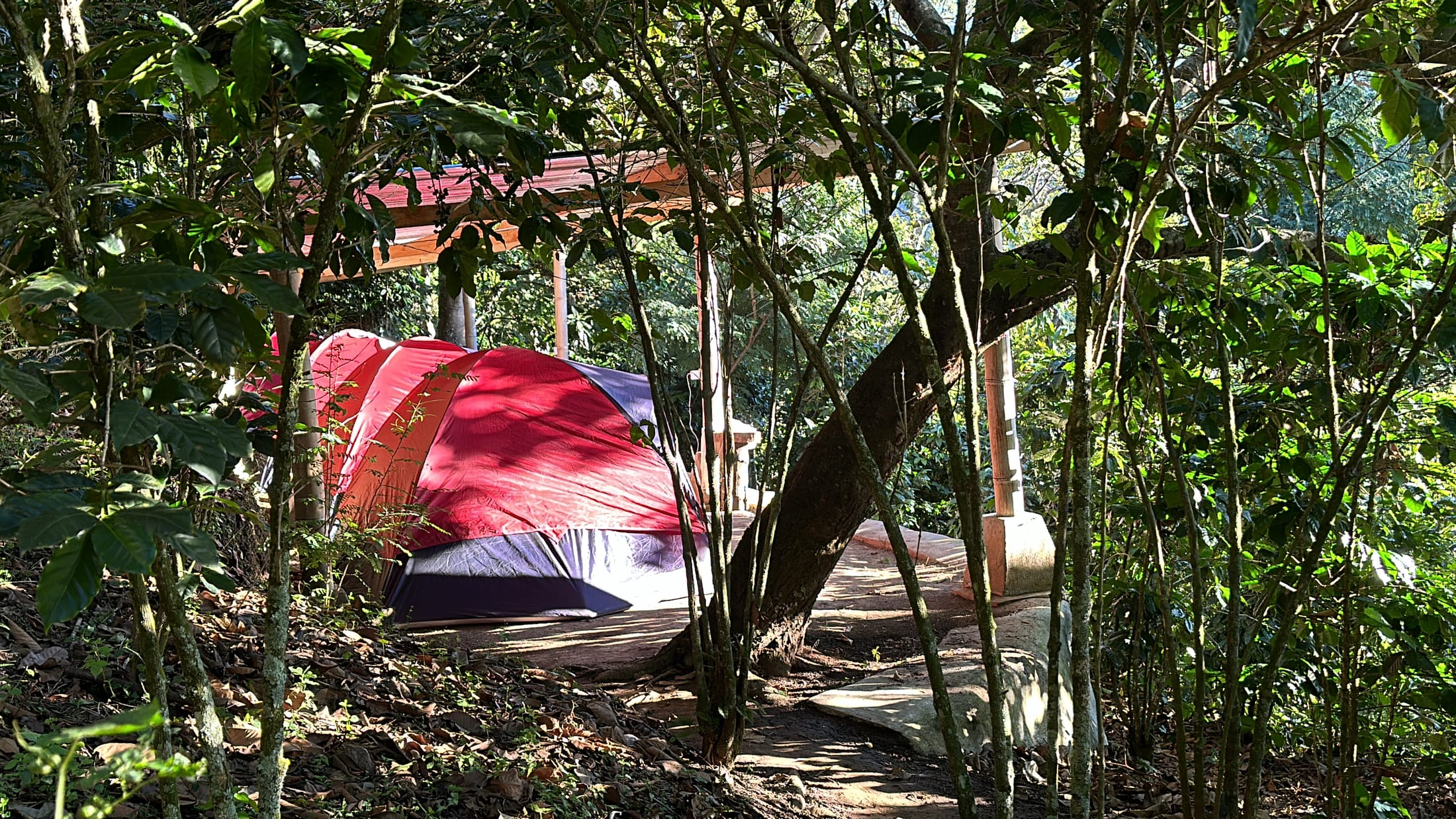 Camping Spot