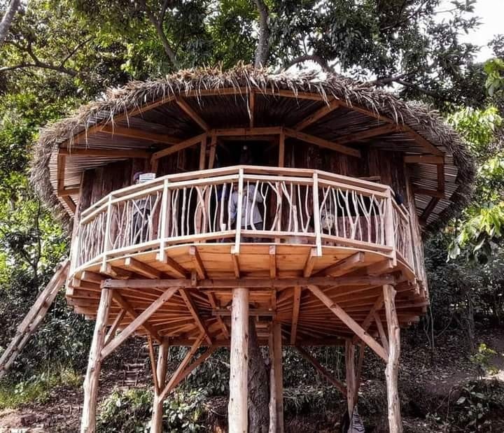 Tree House