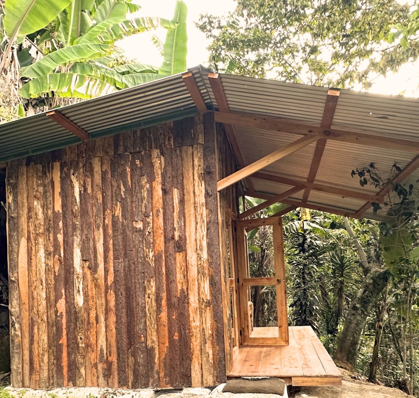 The Mini Tree House